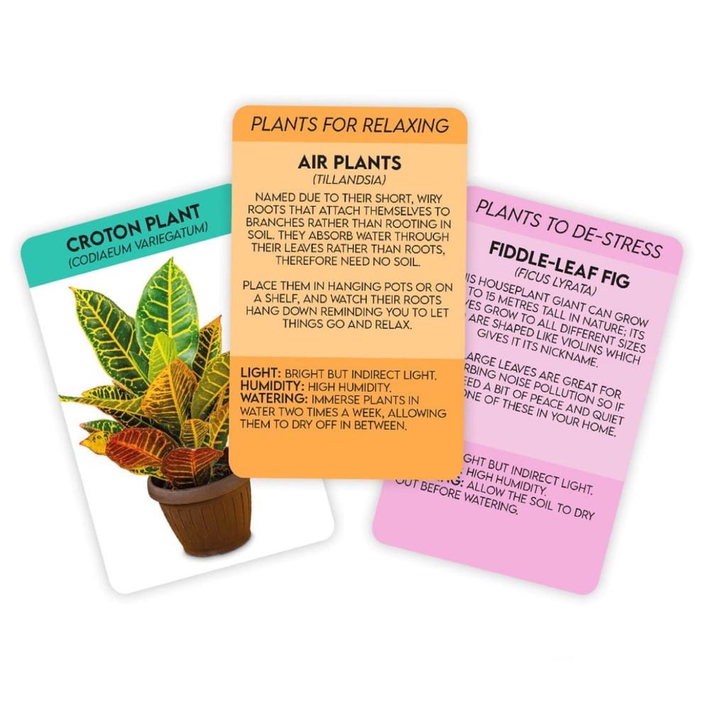 Positive Plants Cards - Picture 6 of 10